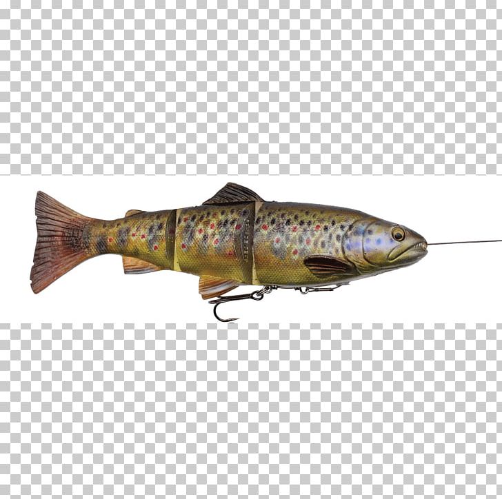 Fishing Baits & Lures Four-dimensional Space Angling Fishing Tackle PNG, Clipart, Amp, Bait, Baits, Bony Fish, Brown Trout Free PNG Download