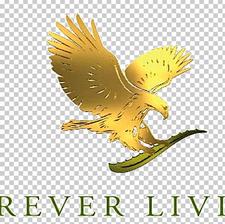Forever Living Products Australia MEDIA SECTOR ALOE VERA GEL FOREVER The Forever Living Store(Health And Beauty Store.) PNG, Clipart, Aloe, Aloe Vera, Beak, Beauty, Bird Free PNG Download