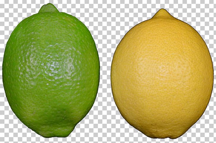 Persian Lime Lemon-lime Drink Key Lime PNG, Clipart, Bitter Orange, Citreae, Citric Acid, Citron, Citrus Free PNG Download