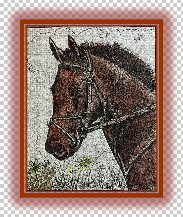 Cortinas Do Tempo Work Of Art Mustang Bridle PNG, Clipart, Art, Bridle, Fauna, Horse, Horse Harness Free PNG Download