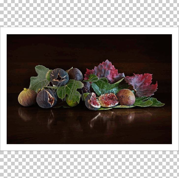 Still Life Photography Art PNG, Clipart, Art, Art Museum, Artwork, Common Fig, Fig Leaf Free PNG Download