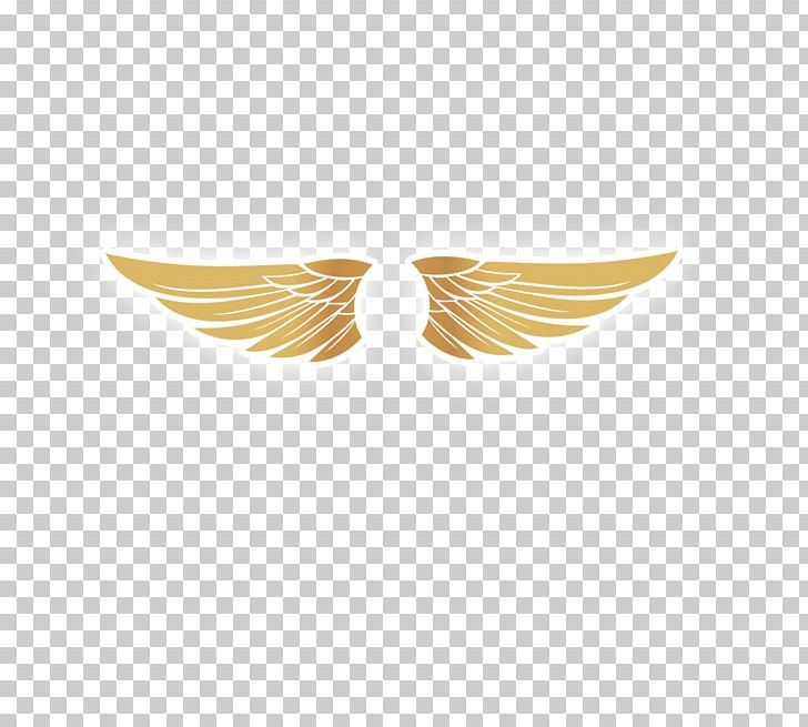 Wing PNG, Clipart, Angel Wing, Angel Wings, Atmosphere, Buffalo Wing, Chicken Wings Free PNG Download