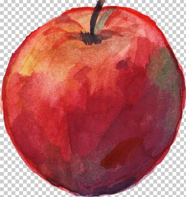 Apple Watercolor Painting PNG, Clipart, Apple, Apple Photos, Color, Drawing, Food Free PNG Download