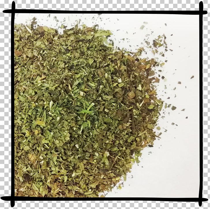 Green Tea Earl Grey Tea Gunpowder Tea Assam Tea PNG, Clipart, Assam Tea, Black Tea, Caffeine, Camellia Sinensis, Decaffeination Free PNG Download