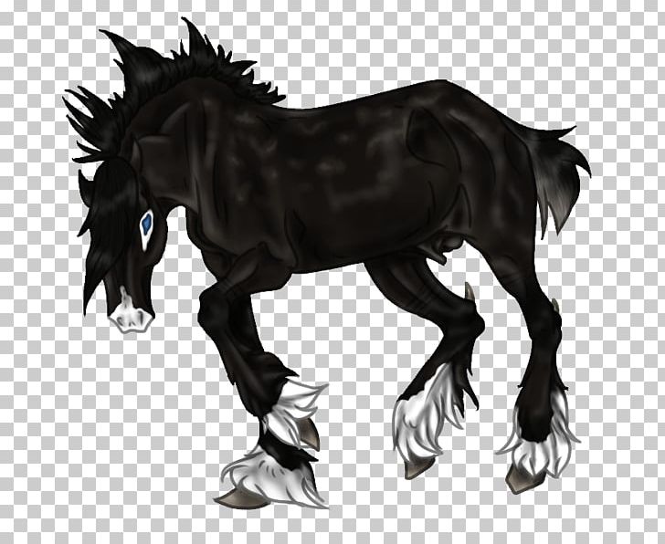 Mane Mustang Foal Stallion Pony PNG, Clipart,  Free PNG Download