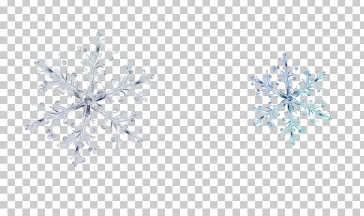 Snowflake Icon PNG, Clipart, Blizzard, Cartoon Snowflake, Decorative, Decorative Elements, Diamond Free PNG Download