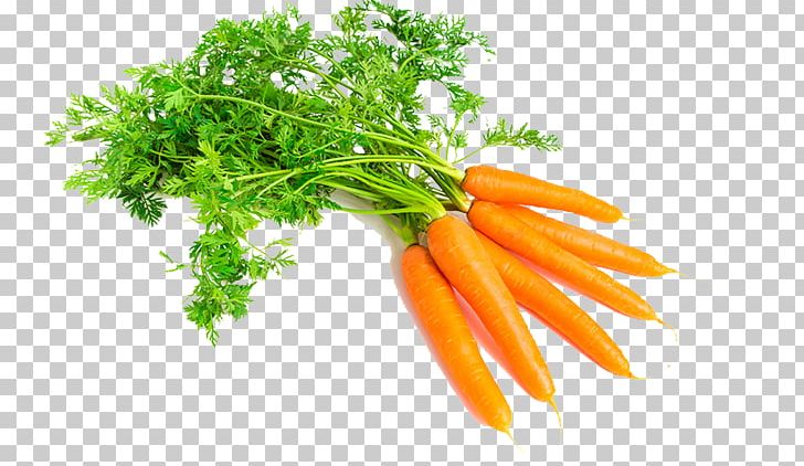 Carrot Vegetable Food Root Oil PNG, Clipart, Almond, Baby Carrot, Background, Carrier Oil, Carrot Free PNG Download