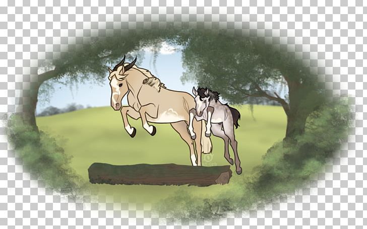 Mustang Foal Stallion Bridle Halter PNG, Clipart, Bridle, Cartoon, Fauna, Foal, Grass Free PNG Download