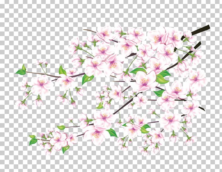 Peach Drawing Art & Photo Exhibits PNG, Clipart, Blossom, Branch, Cherry Blossom, Cut Flowers, Desktop Wallpaper Free PNG Download