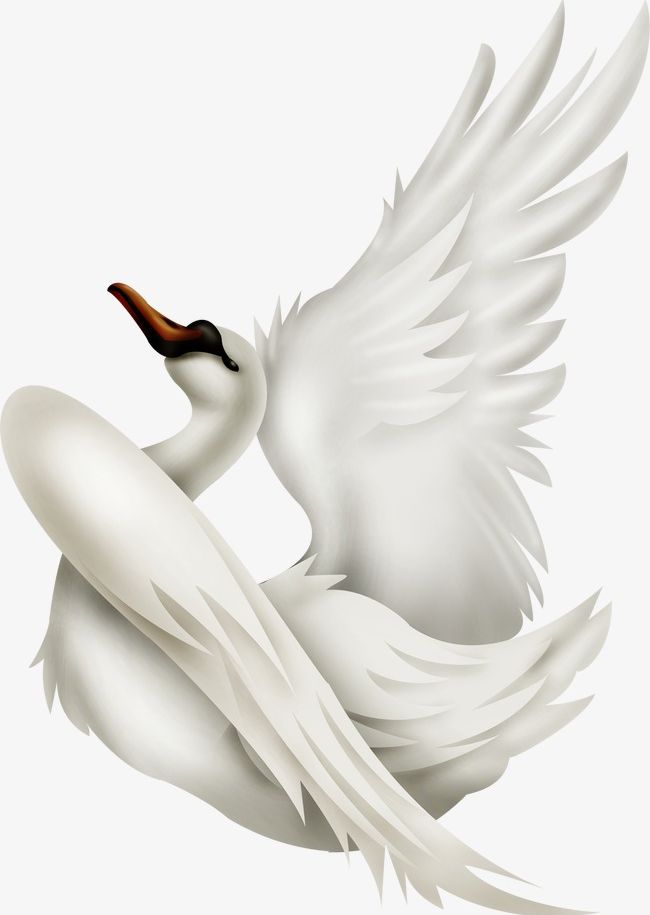 Swan PNG, Clipart, Abstract, Angel, Animal, Animal Wing, Artificial Wing Free PNG Download