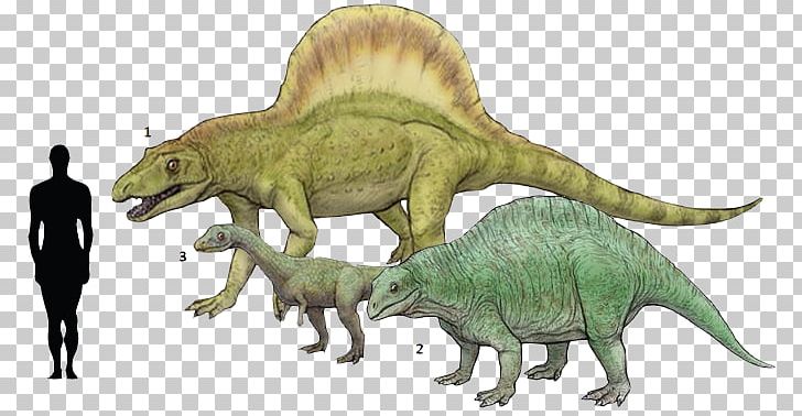 Tyrannosaurus Effigia Lotosaurus Arizonasaurus Spinosaurus PNG, Clipart, Acrocanthosaurus, Animal, Animal Figure, Animals Dinosaur, Archosaur Free PNG Download