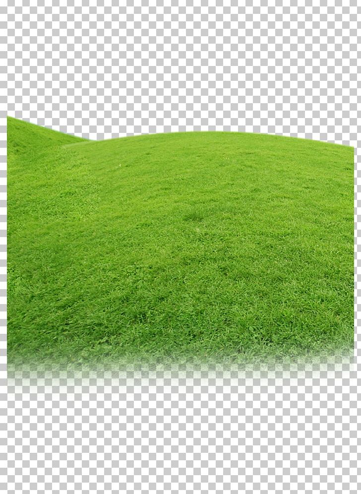 Artificial Turf Meadow Green Grasses Family PNG, Clipart, Artificial Grass, Artificial Turf, Family, Flat, Flat Avatar Free PNG Download