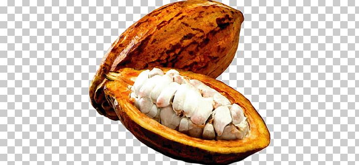 Cacao PNG, Clipart, Cacao Free PNG Download