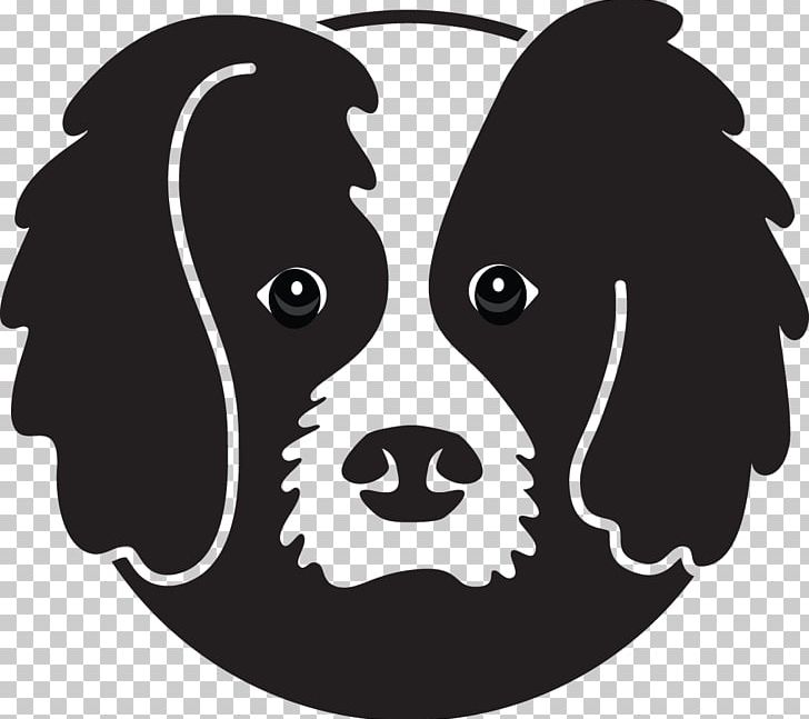 Dog Breed Puppy Poodle Bordoodle Border Collie PNG, Clipart, Animals, Australia, Black, Border Collie, Carnivoran Free PNG Download