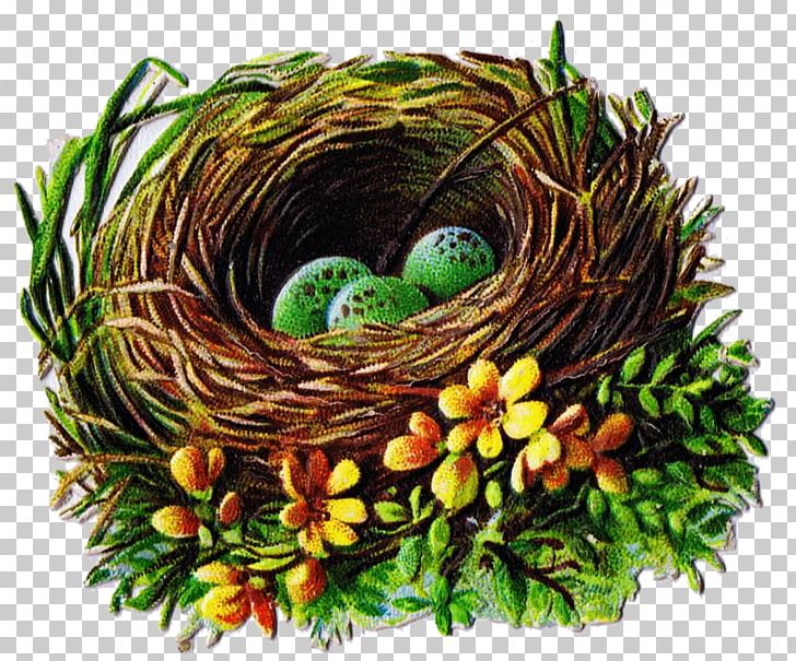 Bird Nest PNG, Clipart, Animals, Bird, Bird Nest, Christmas Ornament, Computer Icons Free PNG Download