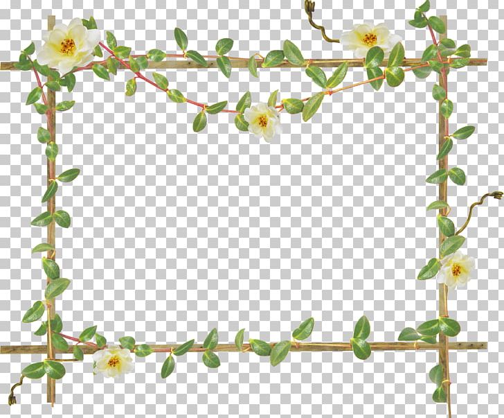 Frames Photography PNG, Clipart, Albom, Bamboo, Blossom, Branch, Film Frame Free PNG Download