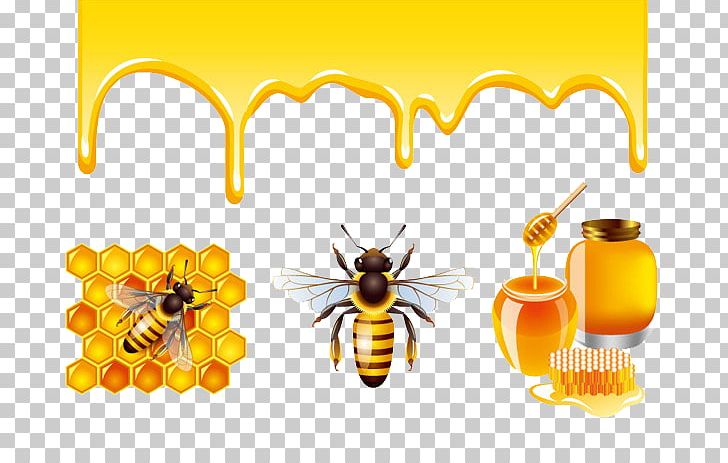 Honey Bee Honey Bee Honeycomb PNG, Clipart, Bee, Beehive, Bee Pollen, Bees Honey, Beeswax Free PNG Download