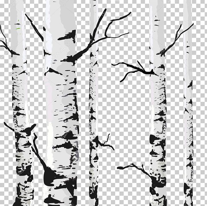 Birch Drawing PNG, Clipart, Art, Black And White, Branch, Flowering Plant, Monochrome Free PNG Download