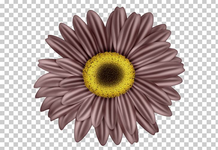 Drawing Gfycat PNG, Clipart, Black Flower, Brush, Can Stock Photo, Chrysanths, Computer Icons Free PNG Download