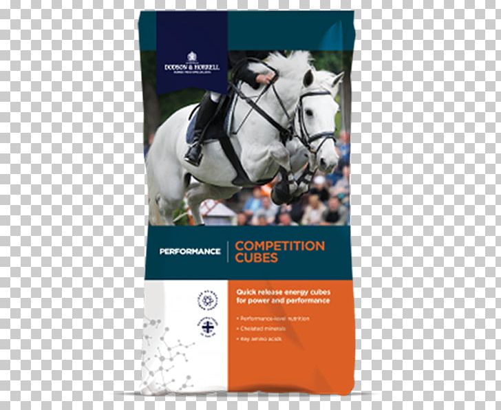 Horse Show Jumping Equestrian Competition PNG, Clipart, Advertising, Animals, Brand, Bridle, Competition Free PNG Download