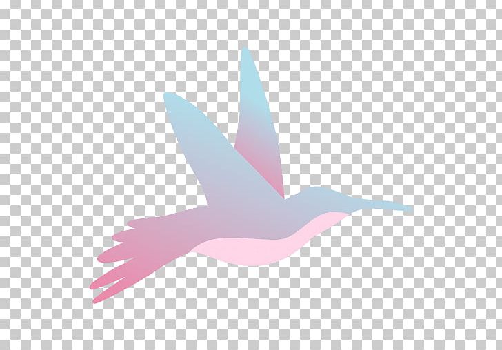 Hummingbird Flight PNG, Clipart, Airplane, Animals, Beak, Bird, Computer Wallpaper Free PNG Download