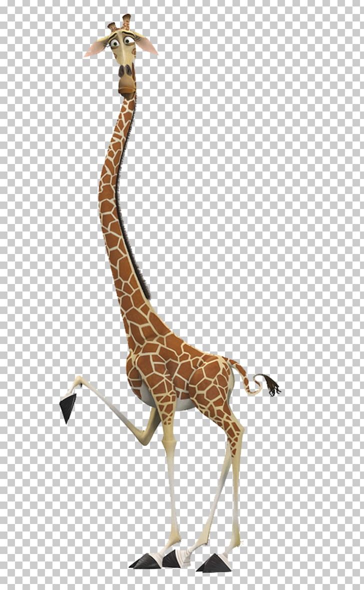 Melman Gloria Alex Giraffe Madagascar PNG, Clipart, Alex, Animal Figure, Animals, Animation, David Schwimmer Free PNG Download