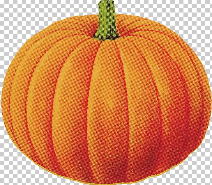 Pumpkin Halloween Free Content PNG, Clipart, Carving, Coloring Book, Commodity, Cucumber Gourd And Melon Family, Cucurbita Free PNG Download