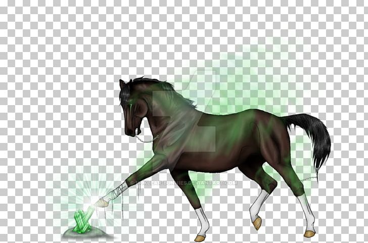 Stallion Mustang Foal Mare Rein PNG, Clipart, Bridle, Foal, Grass, Halter, Harness Racing Free PNG Download