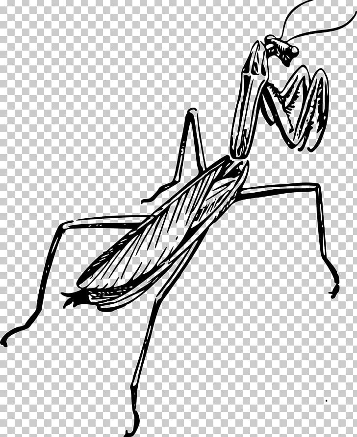 European Mantis Line Art Black And White Drawing PNG, Clipart, Animals, Architectural Drawing, Arthropod, Artwork, Automotive Design Free PNG Download