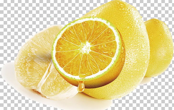 Lemon Petri Dish Art Painting PNG, Clipart, Art, Bacteria, Citric Acid, Citron, Citrus Free PNG Download