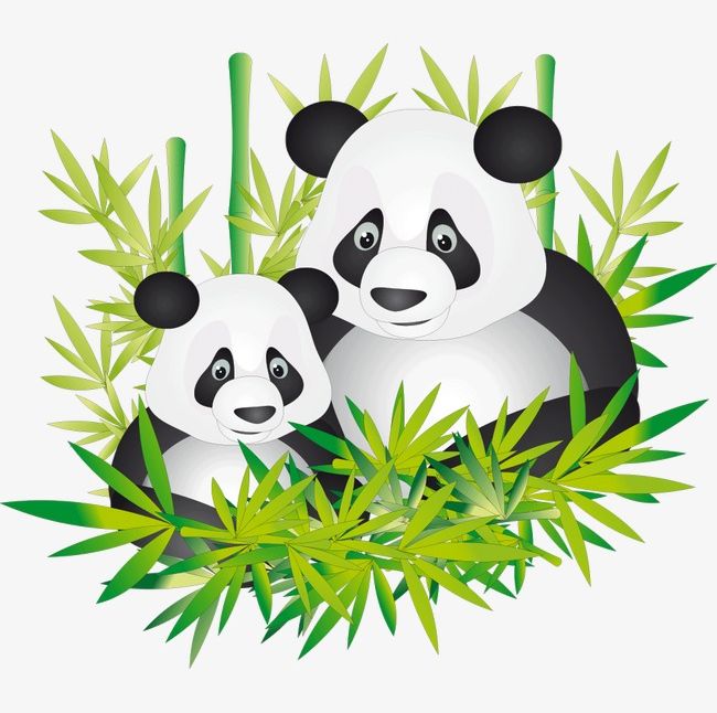 Panda PNG, Clipart, Animal, Bamboo, Lovely, National, National Treasure Free PNG Download