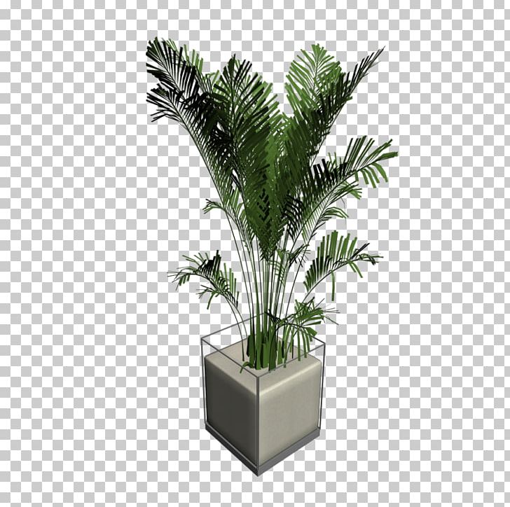 Arecaceae Houseplant Tree PNG, Clipart, Arecaceae, Arecales, Bamboo, Computer Icons, Evergreen Free PNG Download