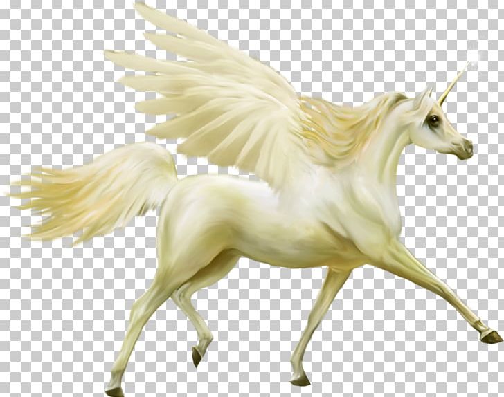Horse Unicorn Pegasus Legendary Creature PNG, Clipart, Animals, Bird, Bliblicom, Fictional Character, Figurine Free PNG Download