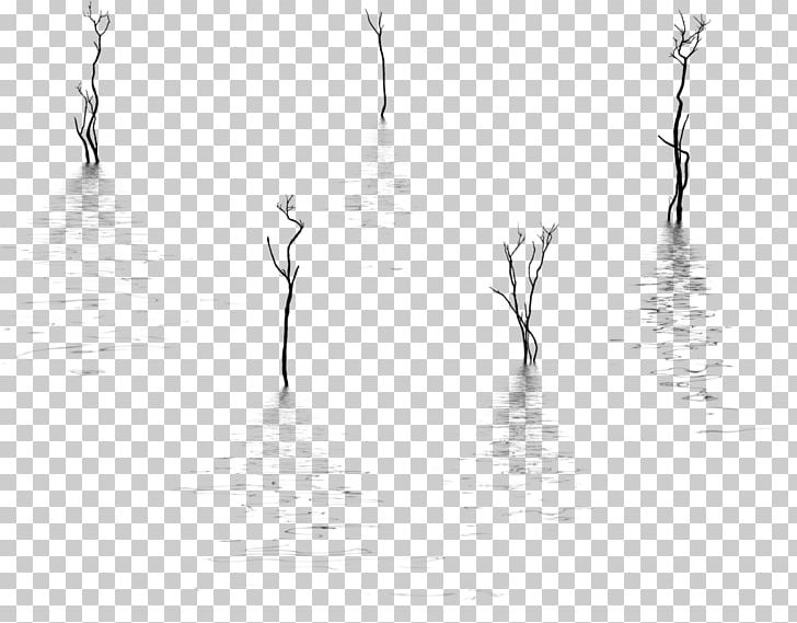 Water White PNG, Clipart, Black And White, Branch, Branching, Calm, Monochrome Free PNG Download