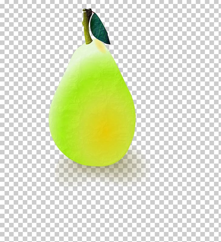 Drawing Williams Pear PNG, Clipart, Asian Pear, Drawing, Food, Fruit, Fruit Nut Free PNG Download