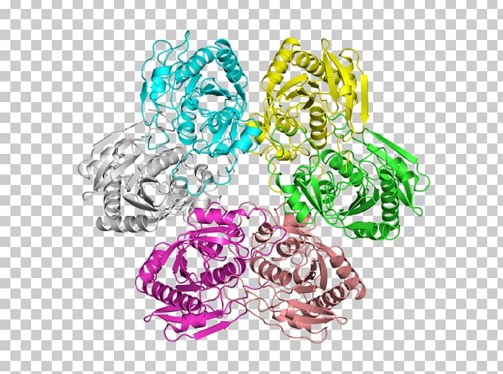 E. Coli Protein Digestion Bacteria PNG, Clipart, Art, Atp Synthase, Bacteria, Body Jewelry, Circle Free PNG Download