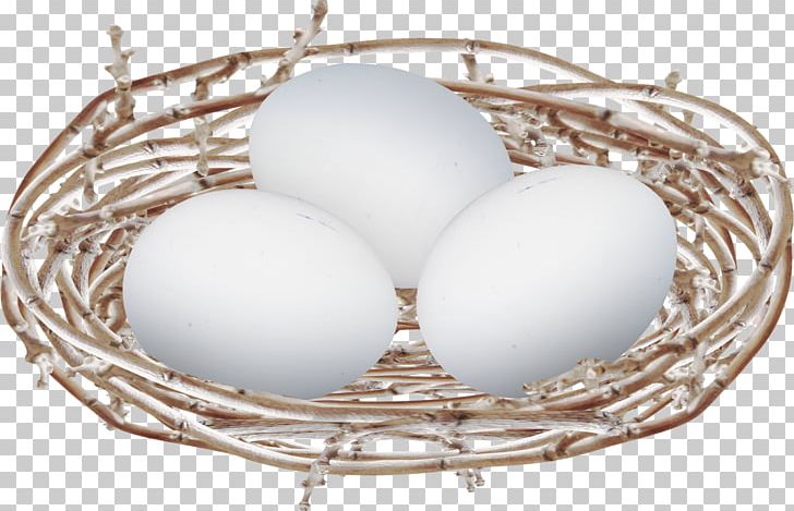 Egg Bird Nest PNG, Clipart, Animals, Bird Nest, Clutch, Easter Egg, Easter Eggs Free PNG Download
