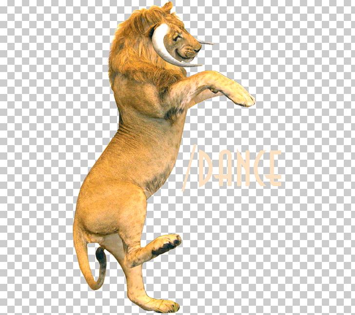 Lion Red Fox Cat Dog Mammal PNG, Clipart, Big Cat, Big Cats, Canidae, Carnivoran, Cat Free PNG Download