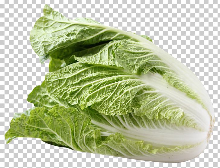 Red Cabbage Salad Napa Cabbage Vegetable PNG, Clipart, Brassica Oleracea, Cabbage, Chinese Cabbage, Chinese Cuisine, Collard Greens Free PNG Download