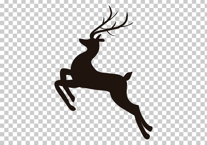 Reindeer PNG, Clipart, Antler, Black And White, Cartoon, Computer Icons, Deer Free PNG Download