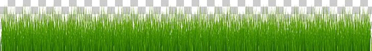 Tortelloni Grasses Wheatgrass Lawn PNG, Clipart, Asparagus, Capsicum, Chicory, Computer Wallpaper, Desktop Wallpaper Free PNG Download
