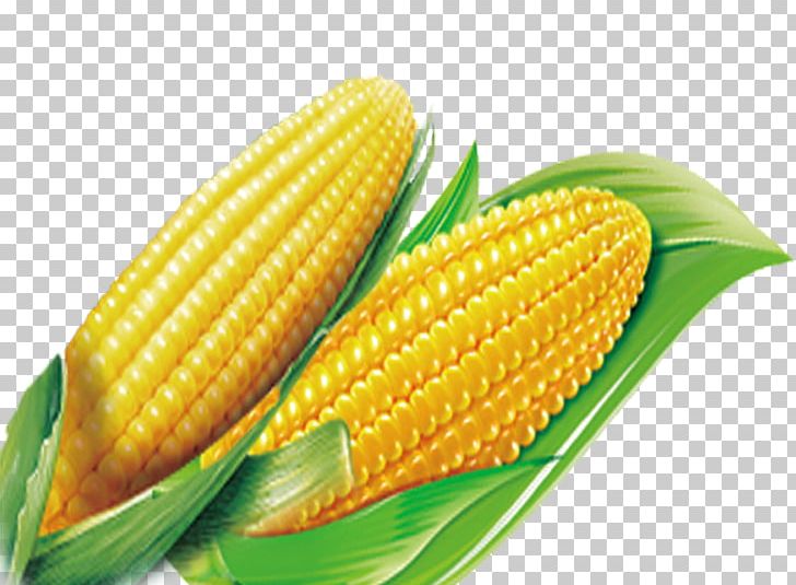 Corn On The Cob Computer File PNG, Clipart, Adobe Illustrator, Cartoon Corn, Commodity, Cor, Corn Free PNG Download