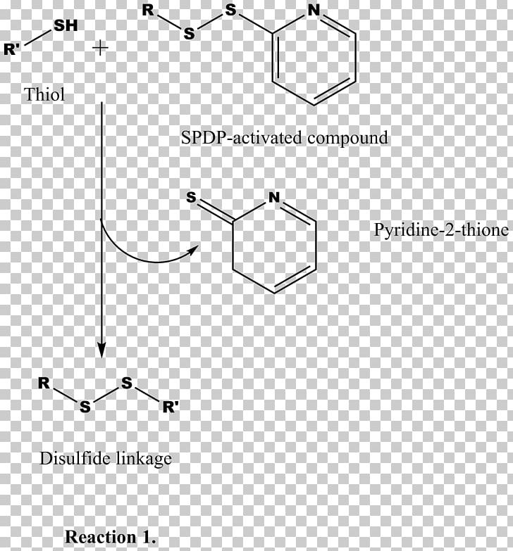 Thiol Amine Cross-link Pyridine Amino Acid PNG, Clipart, Amine, Amino Acid, Angle, Area, Benzyl Group Free PNG Download