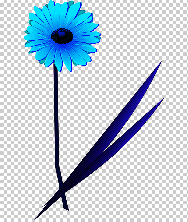 Daisy PNG, Clipart, Barberton Daisy, Blue, Cut Flowers, Daisy, Daisy Family Free PNG Download