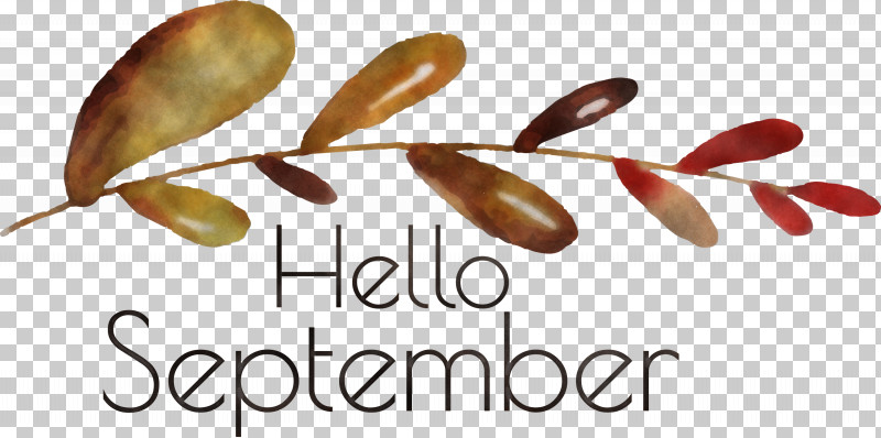 Hello September September PNG, Clipart, Commodity, Hello September, Meter, September Free PNG Download