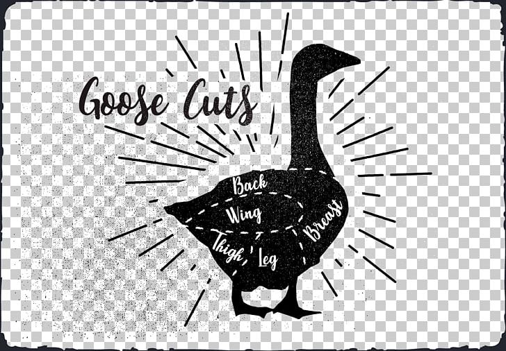Duck Goose Water Bird Drawing PNG, Clipart, Anatidae, Animals, Balloon Cartoon, Bird, Black And White Free PNG Download