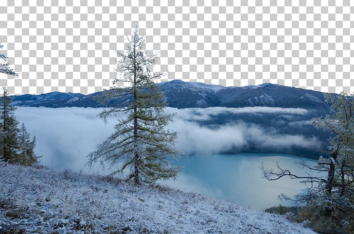 Kanas Lake Pine High-definition Television PNG, Clipart, Attractions, Christmas Snow, Conifer, Fig, Forest Free PNG Download