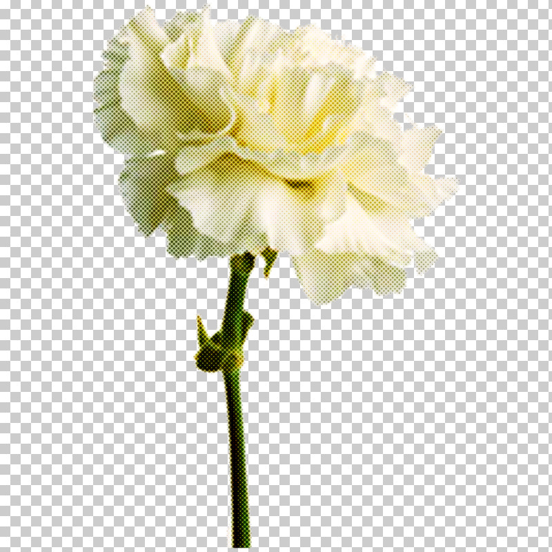 Artificial Flower PNG, Clipart, Artificial Flower, Birth Flower, Carnation, Cut Flowers, Floristry Free PNG Download