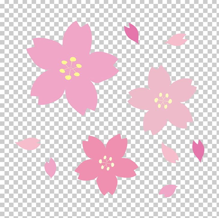 2017 National Cherry Blossom Festival Paper PNG, Clipart, A4 Frame, Blossom, Cherry, Cherry Blossom, Drawing Free PNG Download