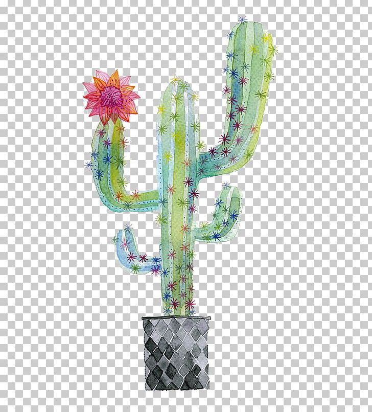 Cactaceae Succulent Plant Watercolor Painting Paper PNG, Clipart, Art, Cactus, Cactus Cartoon, Cactus Flower, Cactus Vector Free PNG Download